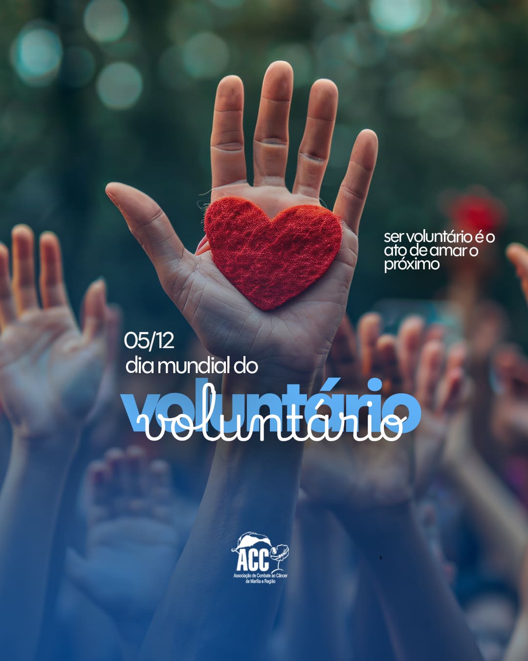 voluntario (1)